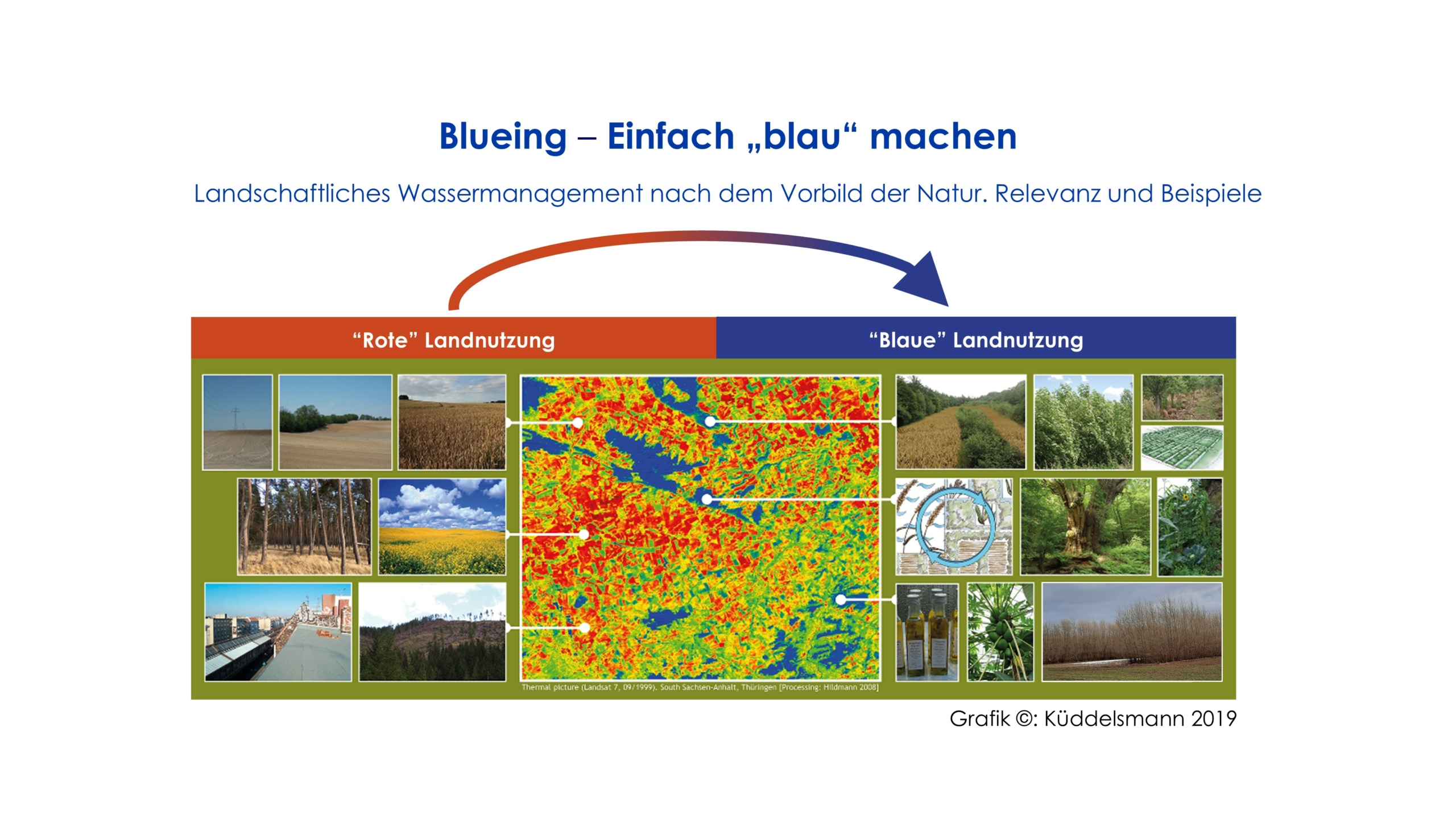 „Blueing – Einfach ,blau‘ machen. Landschaftliches Wassermanagement nach dem Vorbild der Natur. Relevanz und Beispiele“